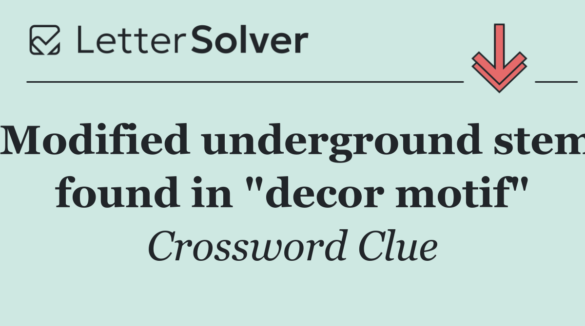 Modified underground stem found in "decor motif"
