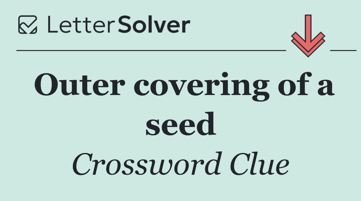 Outer covering of a seed