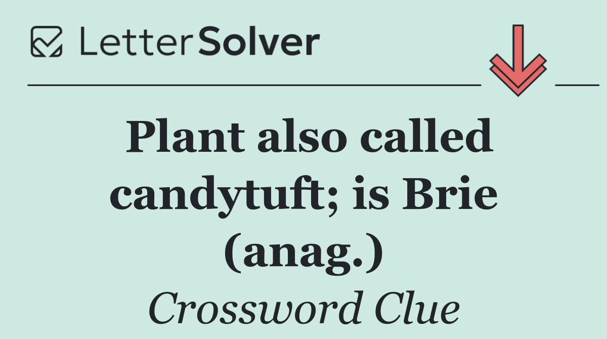 Plant also called candytuft; is Brie (anag.)