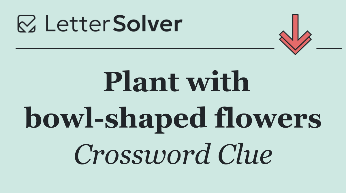 Plant with bowl shaped flowers