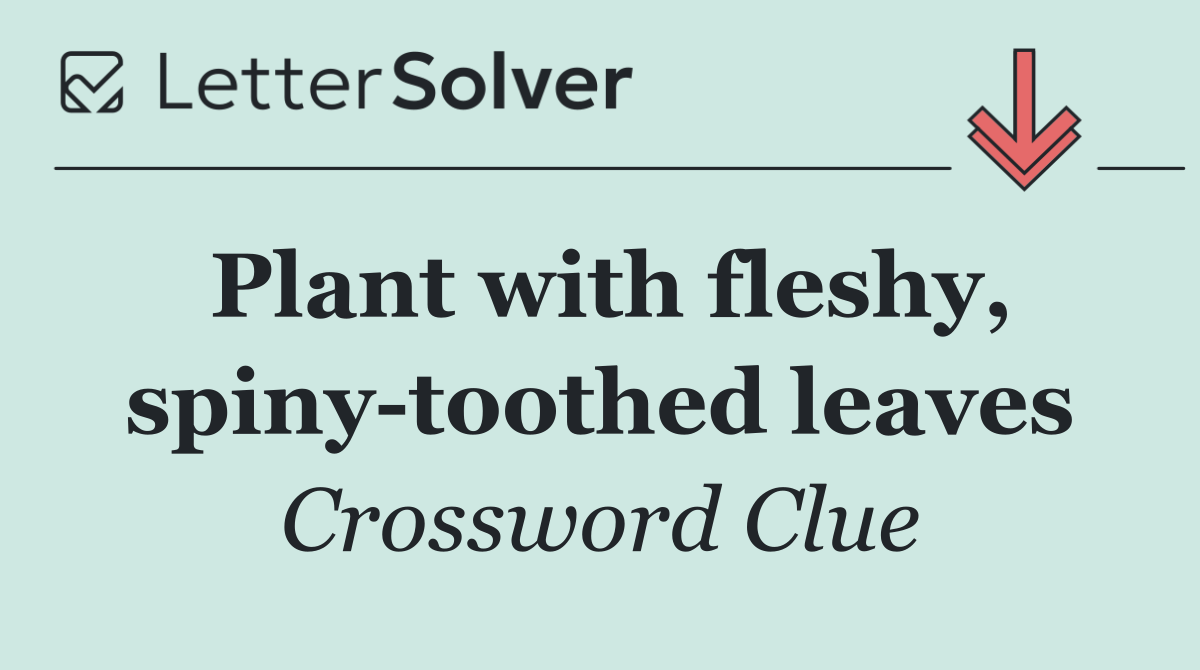 Plant with fleshy, spiny toothed leaves