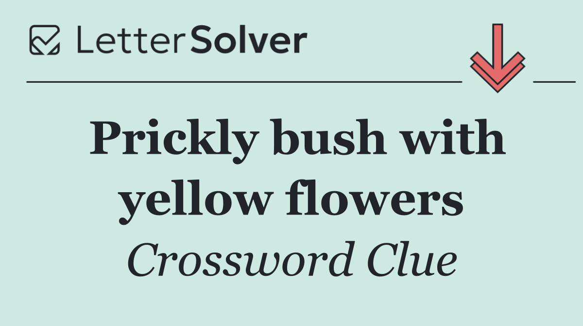 Prickly bush with yellow flowers