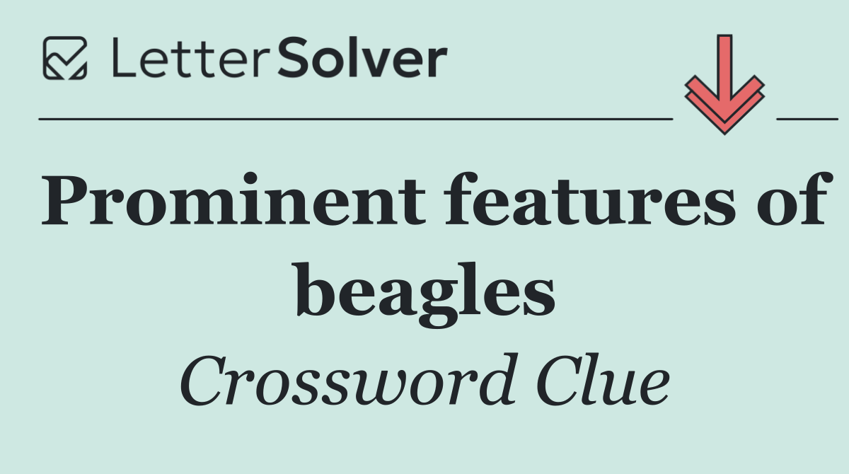 Prominent features of beagles