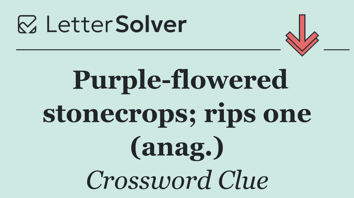 Purple flowered stonecrops; rips one (anag.)