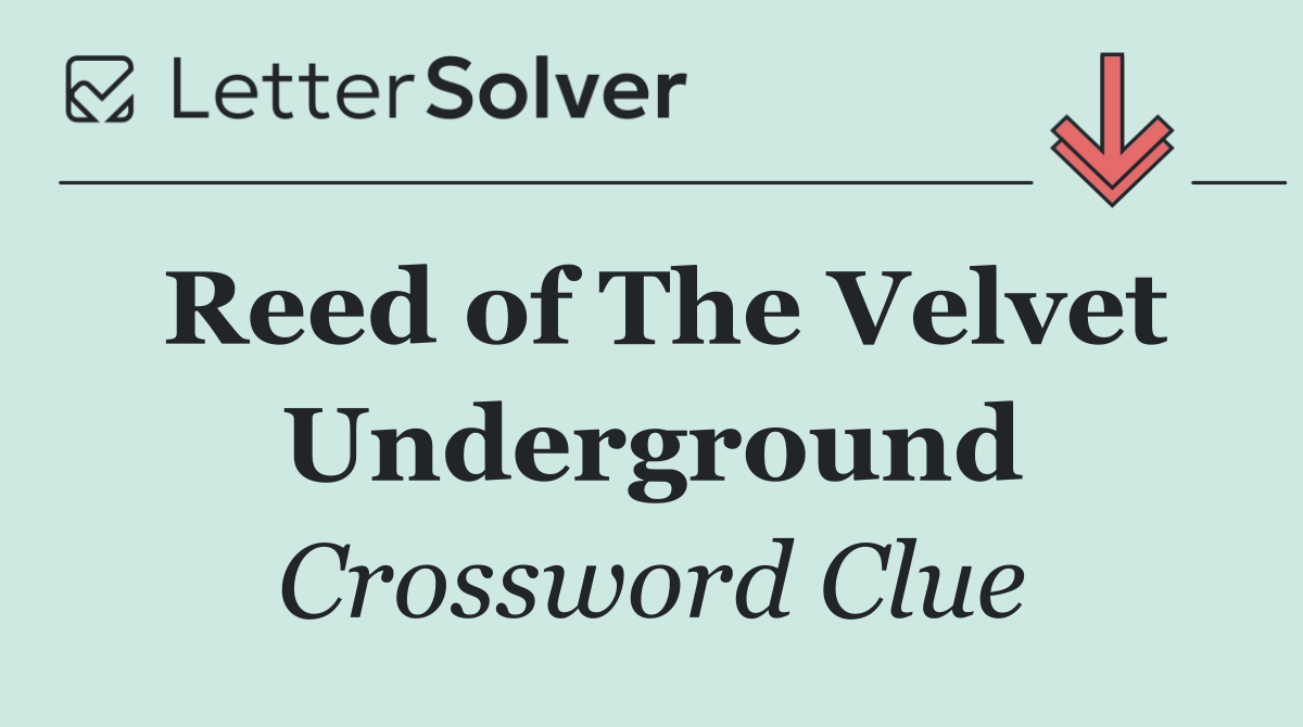 Reed of The Velvet Underground
