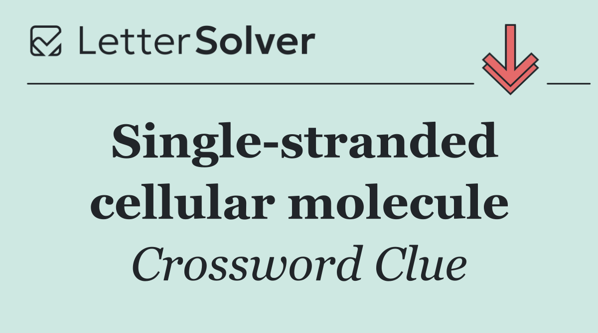 Single stranded cellular molecule