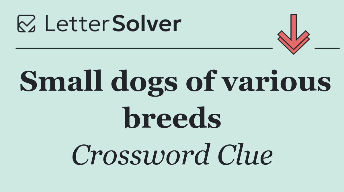 Small dogs of various breeds