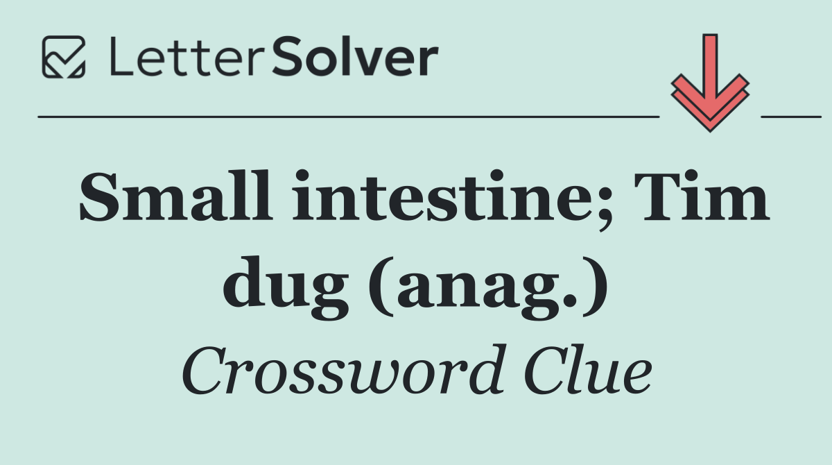 Small intestine; Tim dug (anag.)