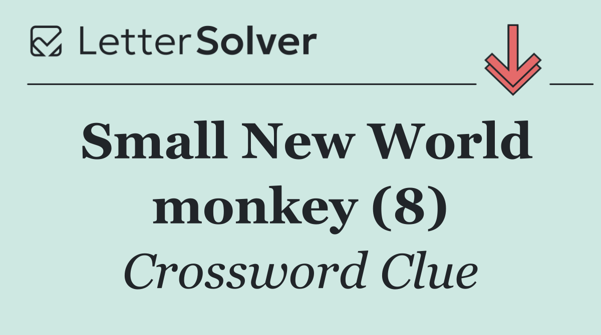 Small New World monkey (8)