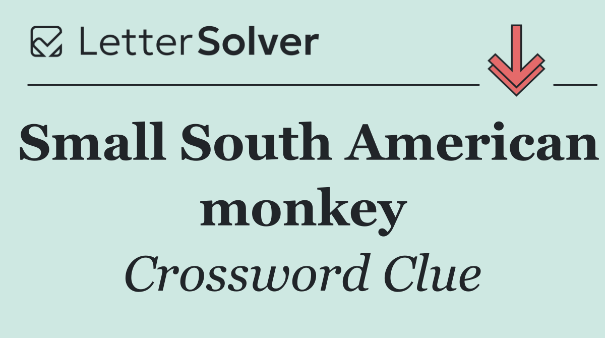 Small South American monkey