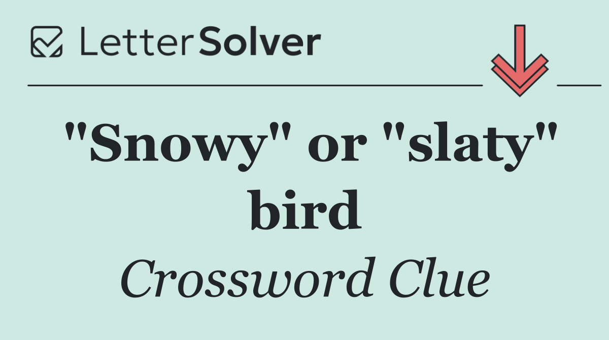 "Snowy" or "slaty" bird