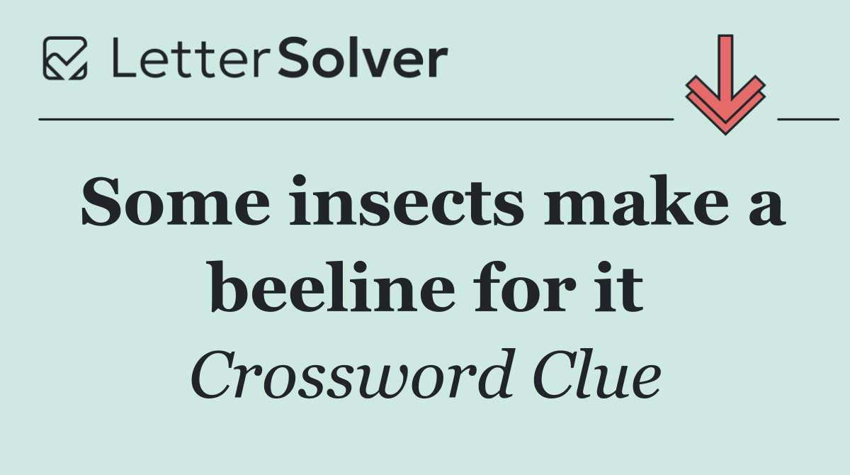 Some insects make a beeline for it