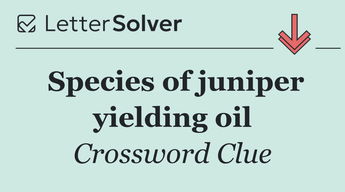 Species of juniper yielding oil