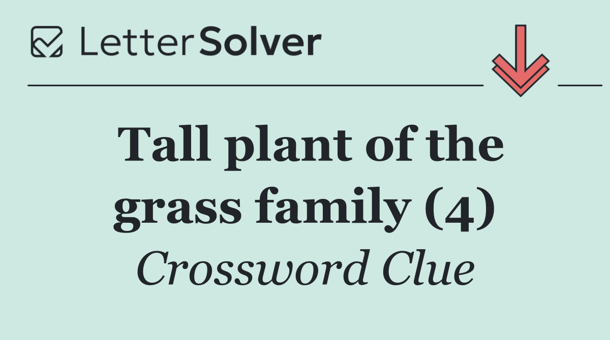 Tall plant of the grass family (4)