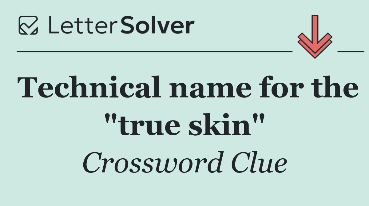 Technical name for the "true skin"