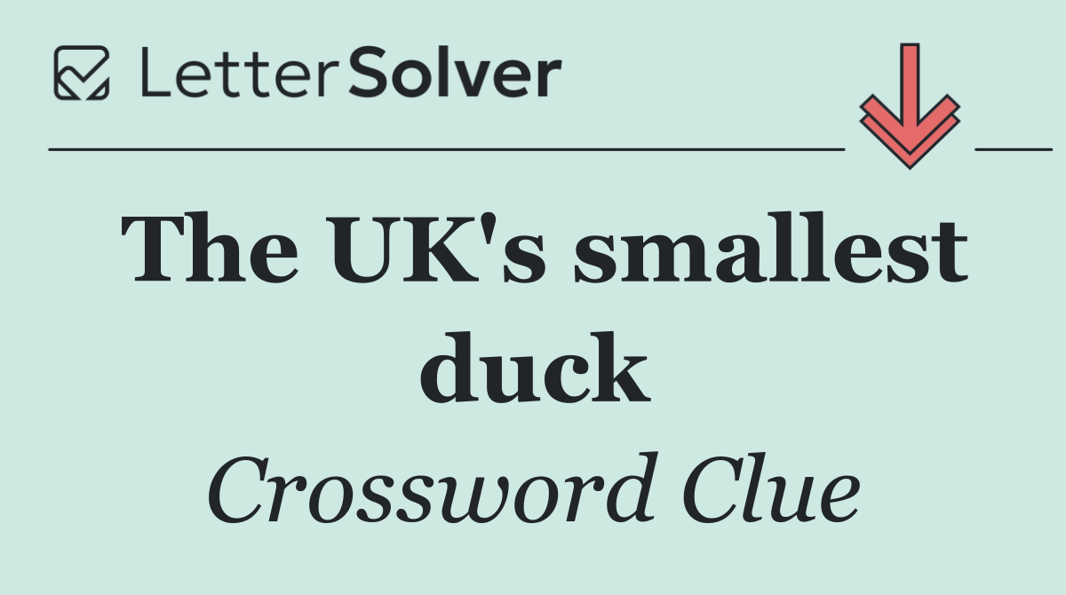 The UK's smallest duck