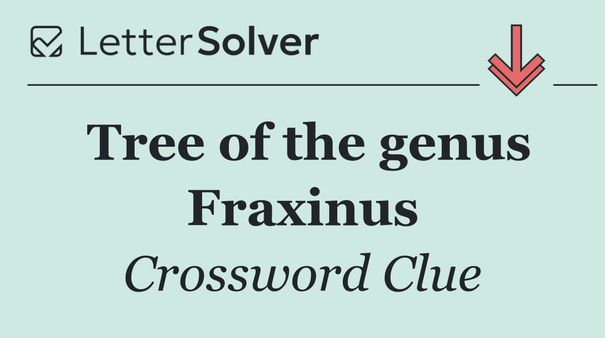 Tree of the genus Fraxinus