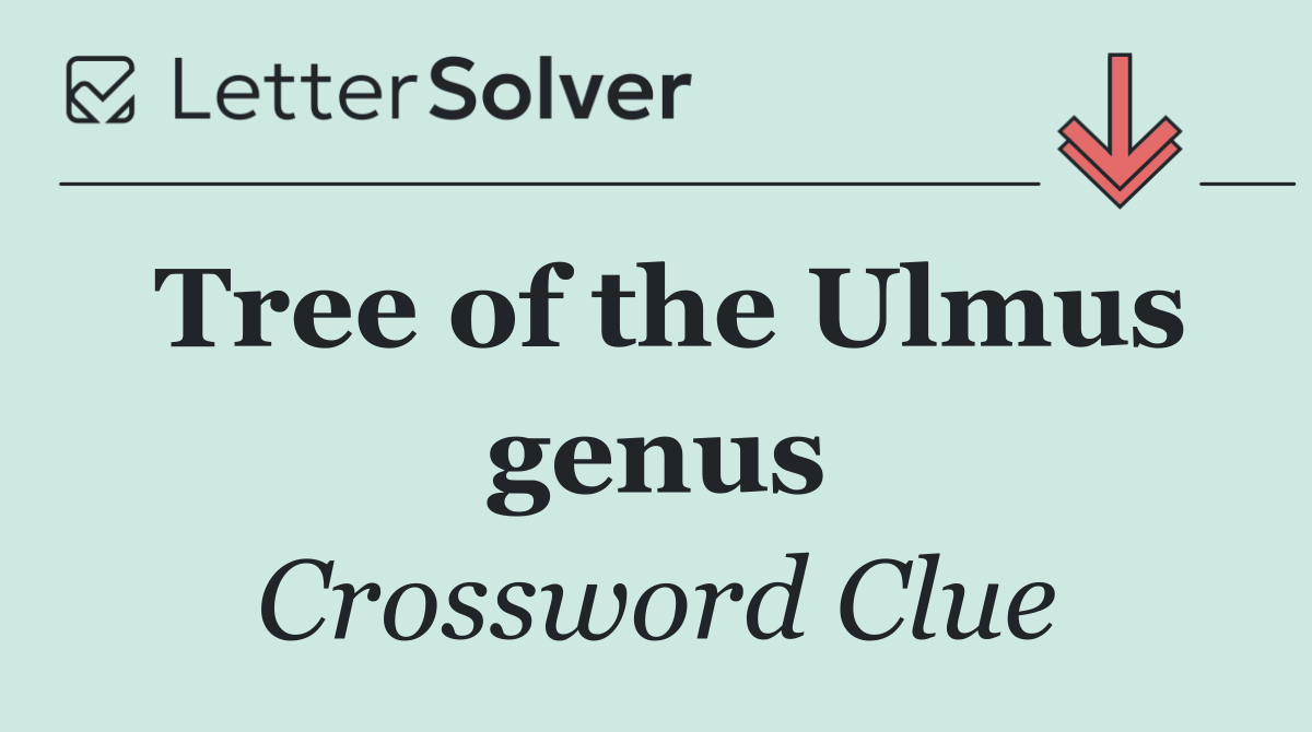 Tree of the Ulmus genus