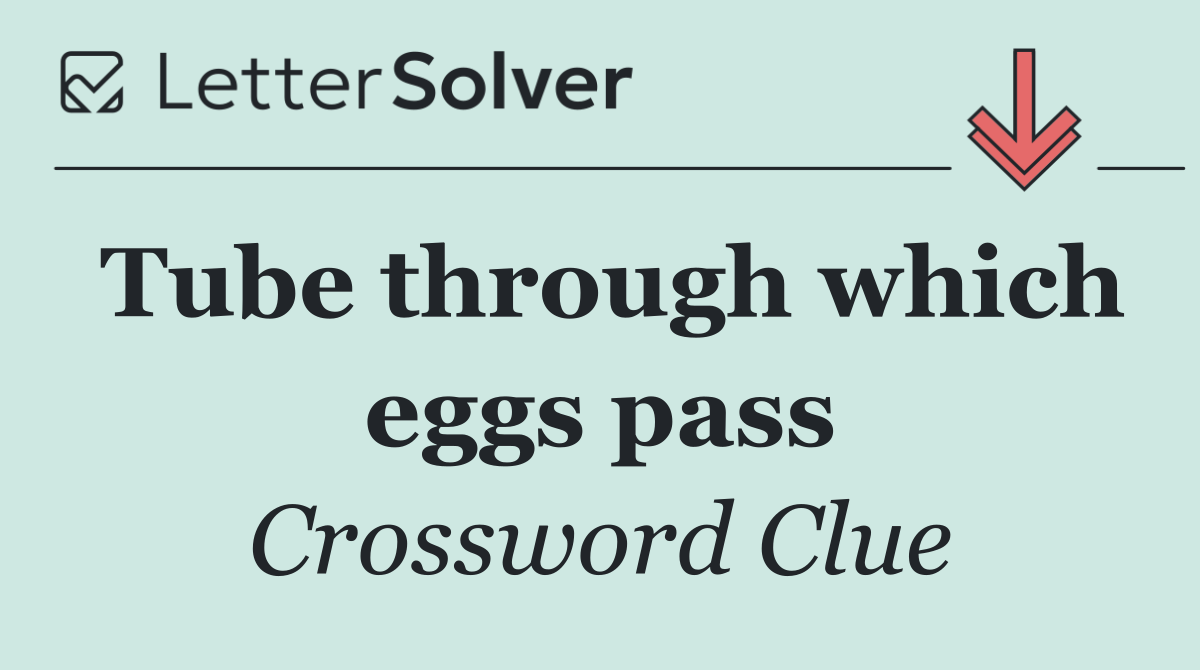 Tube through which eggs pass