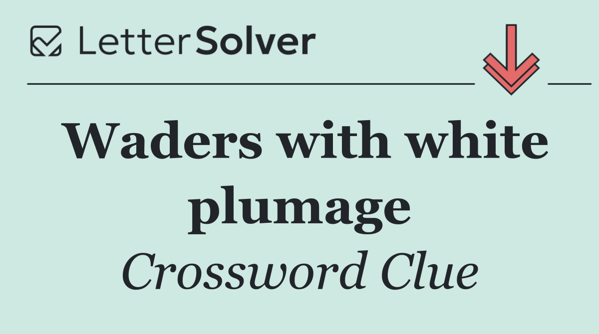 Waders with white plumage