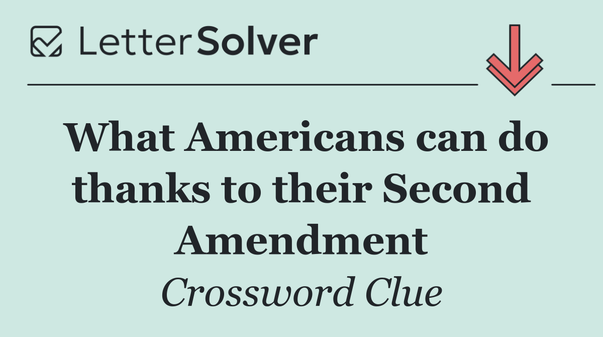 What Americans can do thanks to their Second Amendment