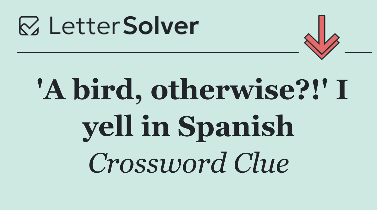 'A bird, otherwise?!' I yell in Spanish