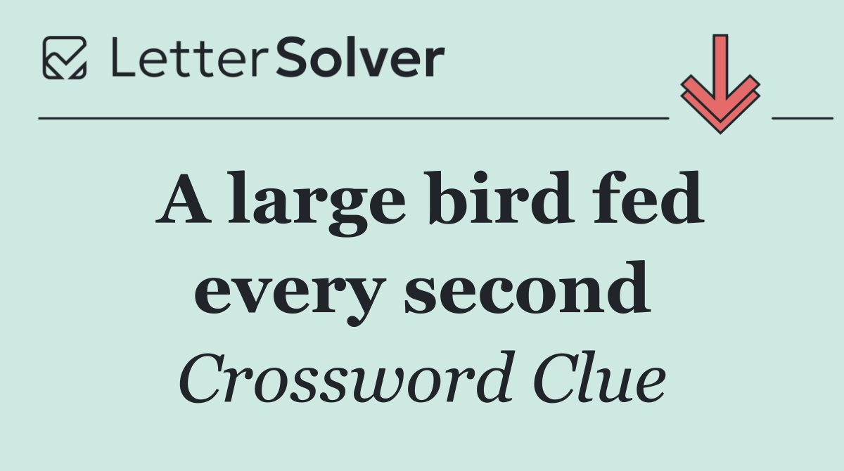 A large bird fed every second