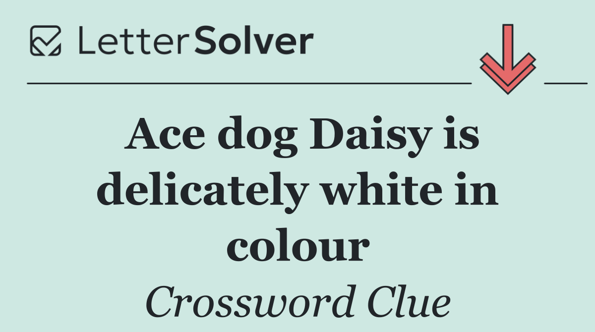 Ace dog Daisy is delicately white in colour
