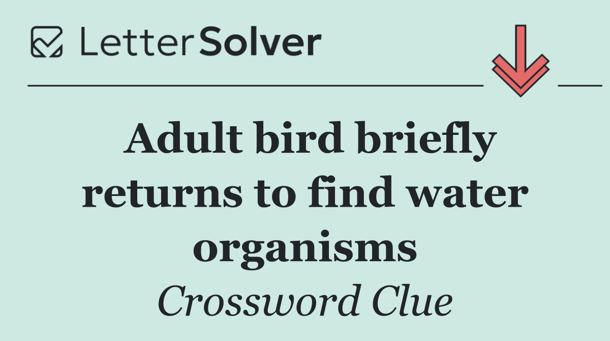 Adult bird briefly returns to find water organisms