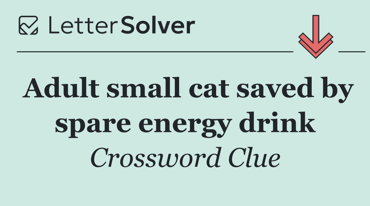 Adult small cat saved by spare energy drink