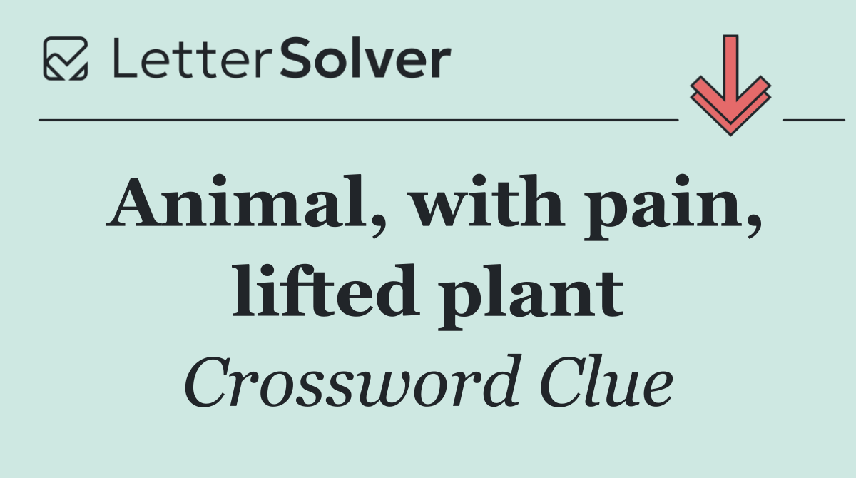 Animal, with pain, lifted plant