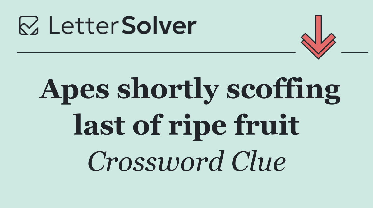 Apes shortly scoffing last of ripe fruit