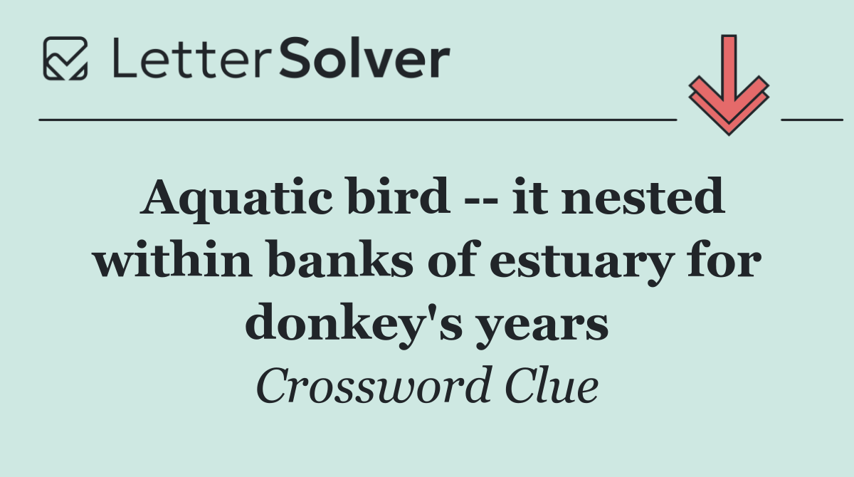 Aquatic bird    it nested within banks of estuary for donkey's years