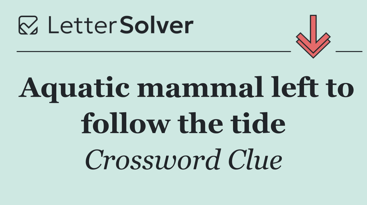 Aquatic mammal left to follow the tide