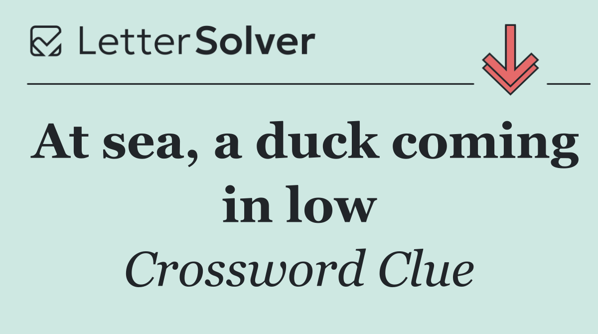 At sea, a duck coming in low