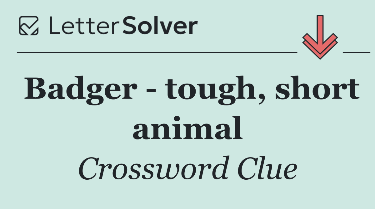 Badger   tough, short animal