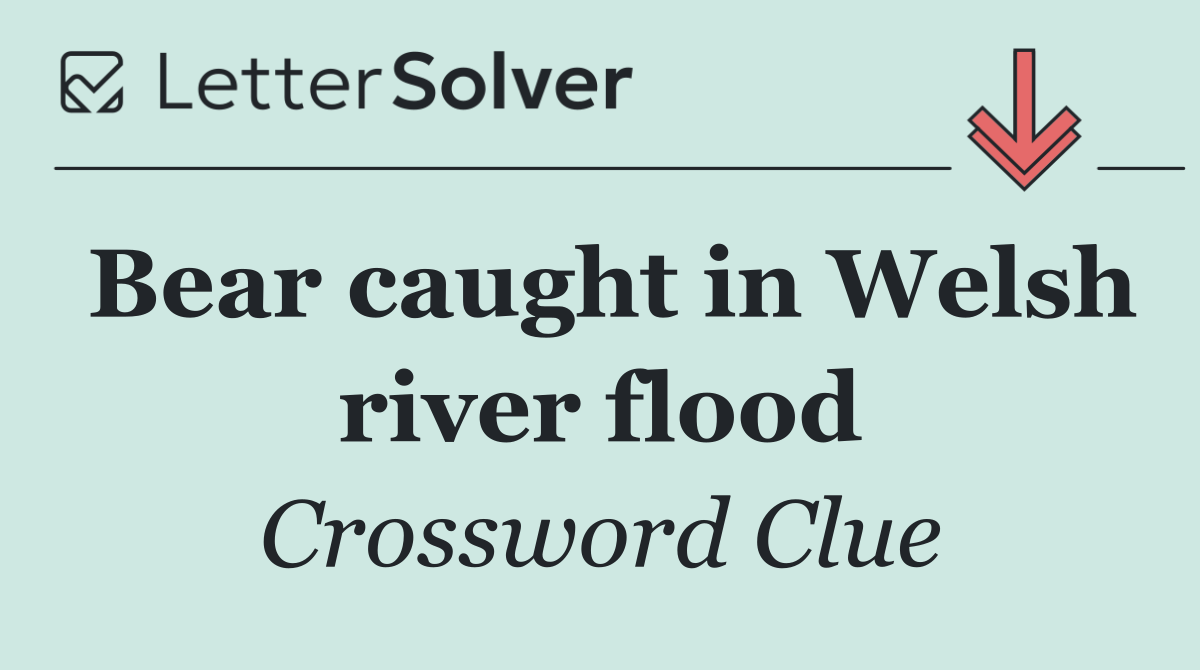 Bear caught in Welsh river flood