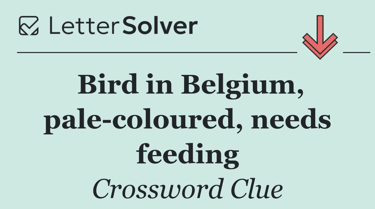 Bird in Belgium, pale coloured, needs feeding