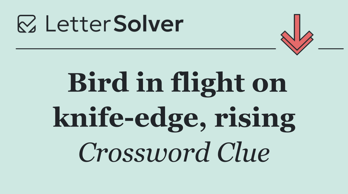 Bird in flight on knife edge, rising