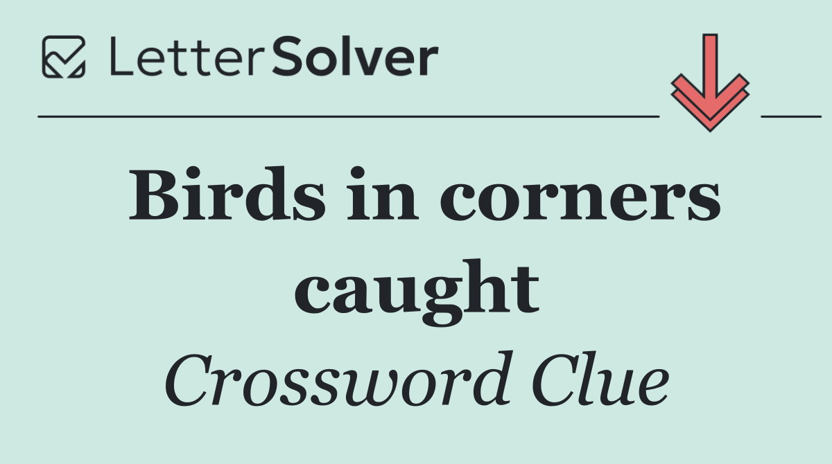 Birds in corners caught
