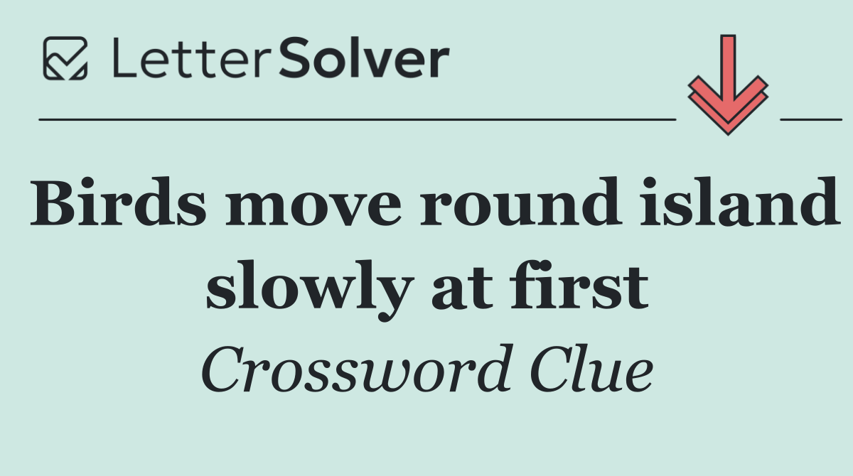 Birds move round island slowly at first