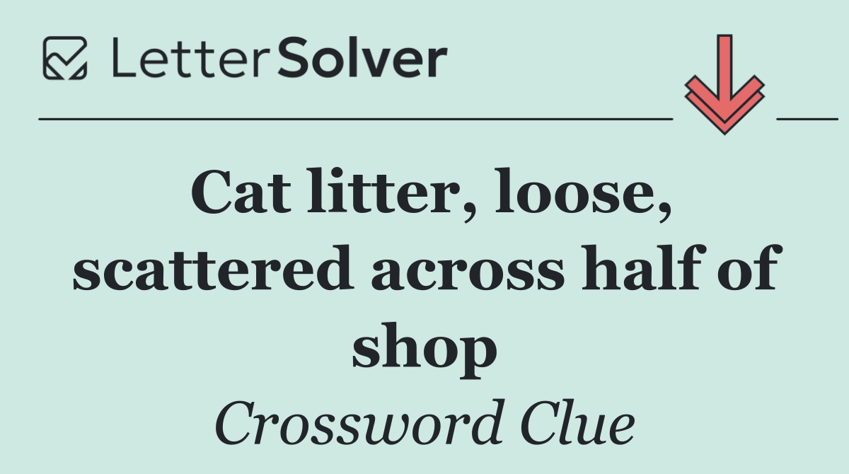 Cat litter, loose, scattered across half of shop