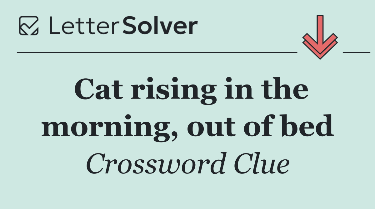Cat rising in the morning, out of bed