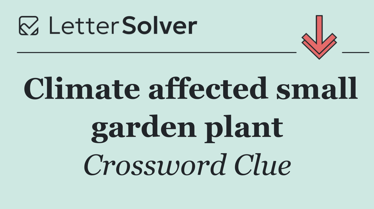 Climate affected small garden plant