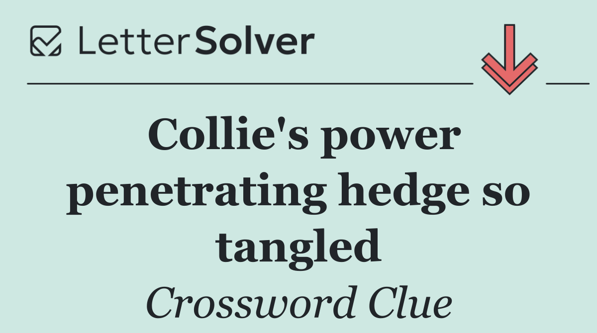 Collie's power penetrating hedge so tangled