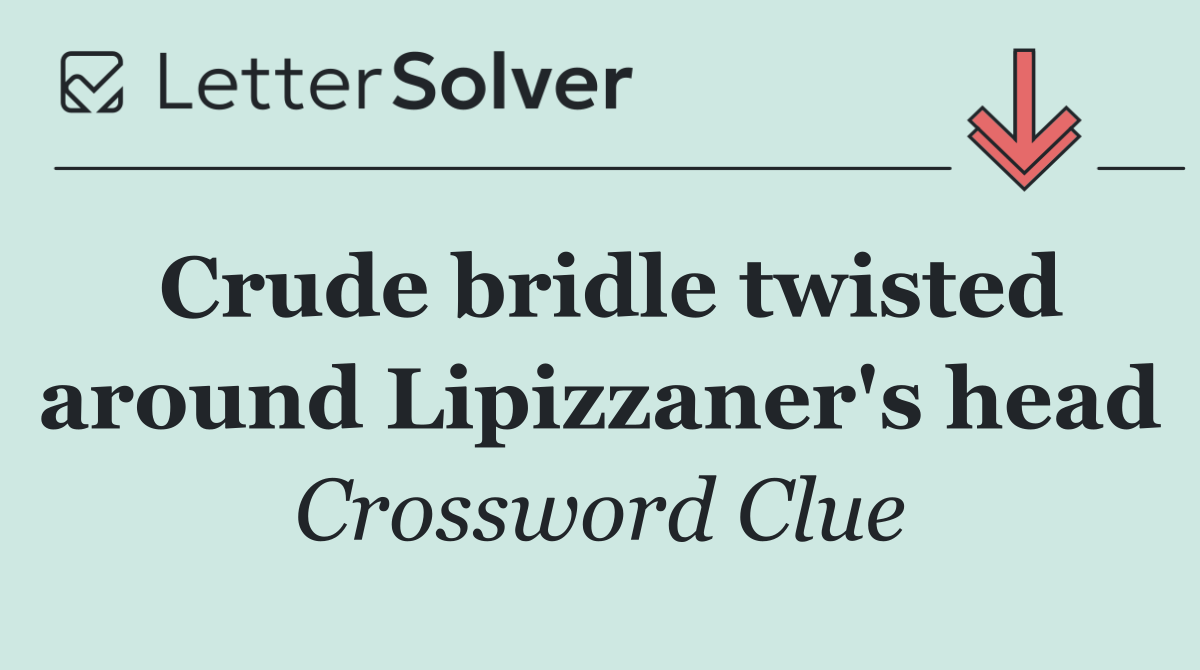 Crude bridle twisted around Lipizzaner's head