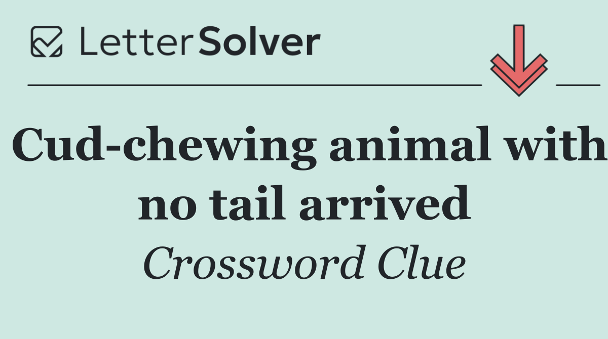 Cud chewing animal with no tail arrived