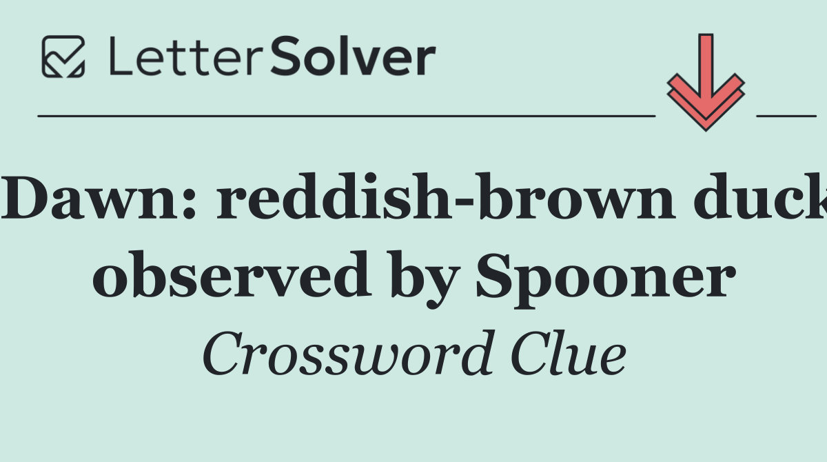 Dawn: reddish brown duck observed by Spooner