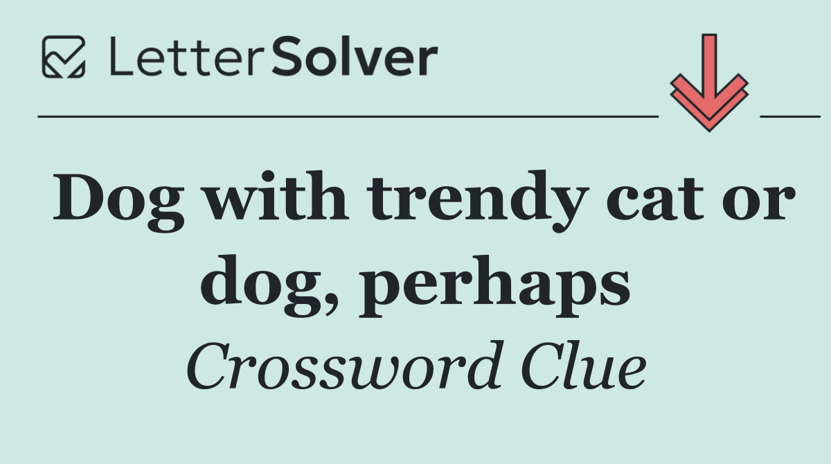 Dog with trendy cat or dog, perhaps