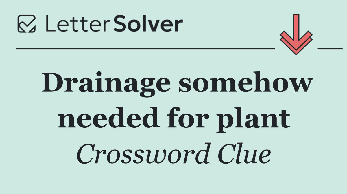 Drainage somehow needed for plant